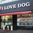 아이러브독 강아지분양 부천점 이미지