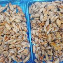 이천초병설 이미지