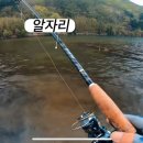 더블넥서스 이미지