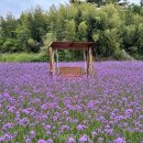 김동환농장 투어코리아