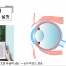 다비치안경 진주중앙점 이미지