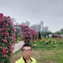 장미원 당구장 이미지