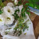 효주공방 이미지