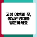 화진포 푸른펜션 | 고성 여행 완벽 가이드 알짜 정보와 주의사항 총정리