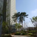 신당인덕1로-5 Daum카페