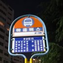 삼광사 | 부산 삼광사 연등축제 야경 명소 다녀온 후기｜주차·버스 이용 방법 어린이대공원 주차 추천