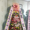 금성초교 이미지