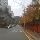 신갈마로-10 이미지