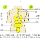 부항 - 부작용 없고 신속한 부항요법 이미지