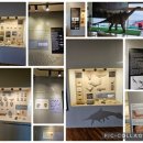 경기둘레길 평택45코스 | 20260306(금)철새(큰기러기?,가창오리?)의 군무를 볼 수 있는 경기둘레길 평택45코스