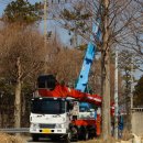 댕강댕강 이미지