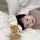 인형과만남 | 육아맘 입소문템! 에다 오르골(L) 애착인형 솔직 후기