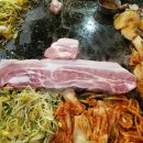 석기시대 Daum카페