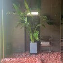 아틴해우 이미지