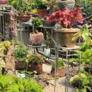 자양꽃직매장 이미지