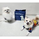 오드(AUD) 이미지