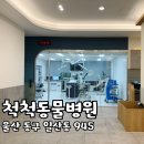 척척 동물의료센터 이미지