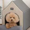 펫 하우스 이미지