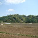 세중초등학교 이미지