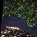 칼튼호텔 이미지