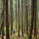 소락스위스 이미지