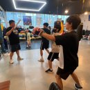 Bee Boxing Gym 이미지
