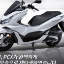 (유)우일교통 | 2022 베넬리502C BENELLI502C 판매완료