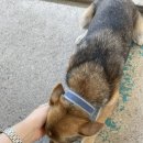 영인산주유소 이미지