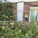 스테이서프픽 이미지