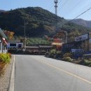 마주본농장