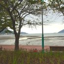 앵강 약초 공원 이미지