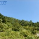 남해-265 이미지