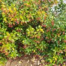 하촌마을회관 이미지