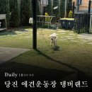 당진유치원 | 당진 송산 애견 운동장 댕버랜드, 내돈내산 후기💸