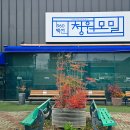 1960청원 이미지