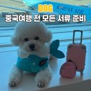 농림축산검역본부 서울지역본부 | 강아지랑 중국 애견동반 상하이여행 전 검역 준비기간 해관 미니프로그램 입국신청