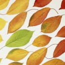 슈베르트의 겨울 나그네 이미지