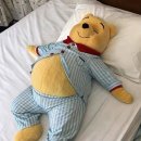 소연세탁 | 2026 1월 (막달 임산부) 일상 💕