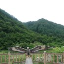 DMZ평화의길 평화쉼터 이미지