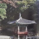 애련정 | 조선 왕실의 정자 애련정 : 자연과 전통 건축의 만남