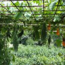 숫골농장 이미지