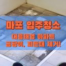 대흥특수가스 | 마포입주청소 대흥태영아파트 청소업체 찌든때, 곰팡이제거!