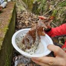 신기산성약수터 이미지