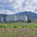 봉동교 옆 이미지