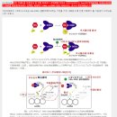 니타조사나이드 음원 공개 합니다. 폐렴 예방 및 치유 음악 %2B펜벤다졸 음원 3차수정 이미지