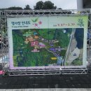 보성읍사무소앞 | 제47회 2024 보성 다향 대축제 기본정보 보성차밭 - 방문후기