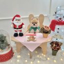 츄츄애견 이미지