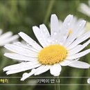 강민경 이해리 세대차이 이미지