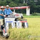 경주농협하나로마트 이미지