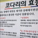 송정코다리 이미지